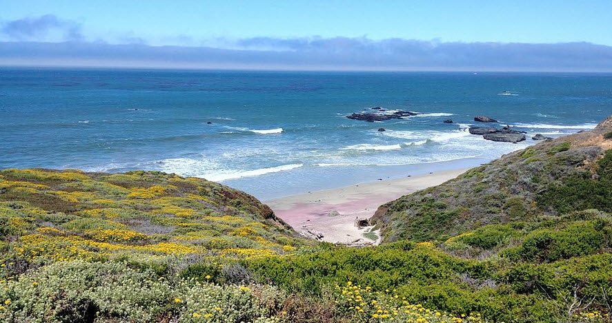 Andrew Molera State Park, California, USA